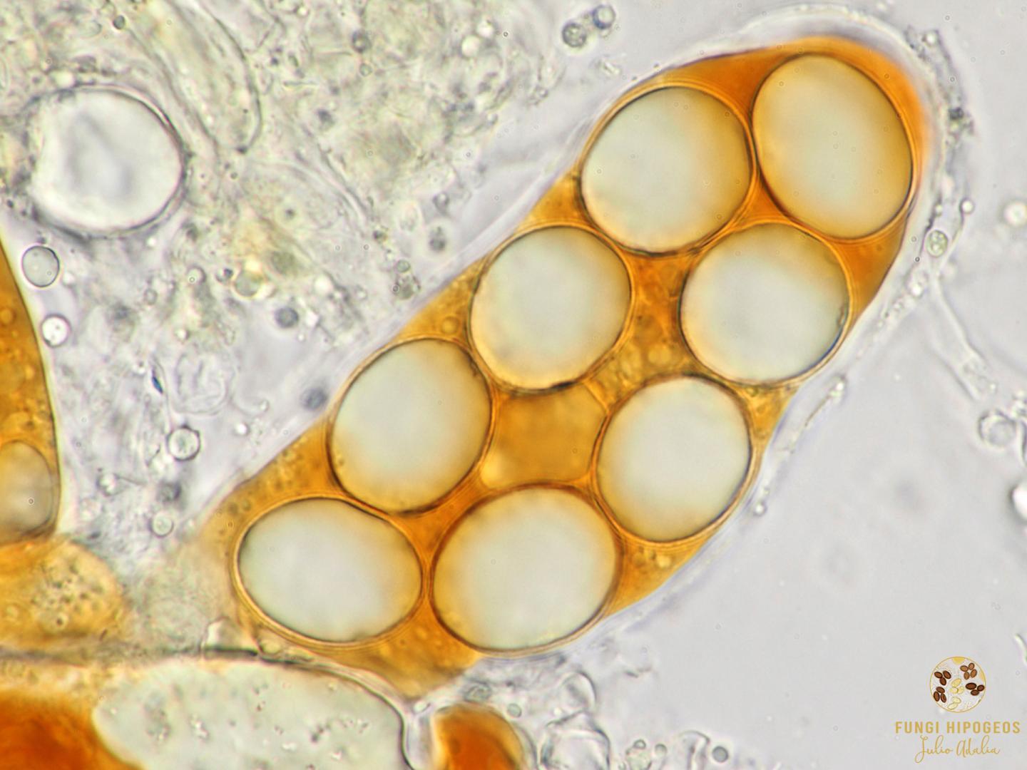 Imagen de portada 327