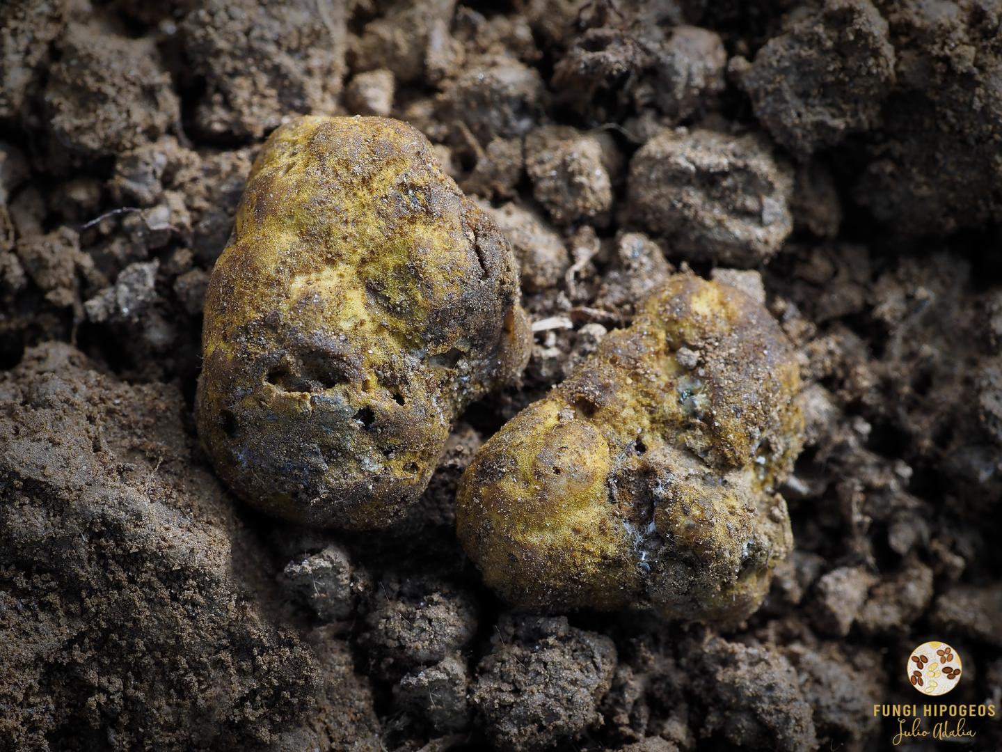 Imagen de portada 348