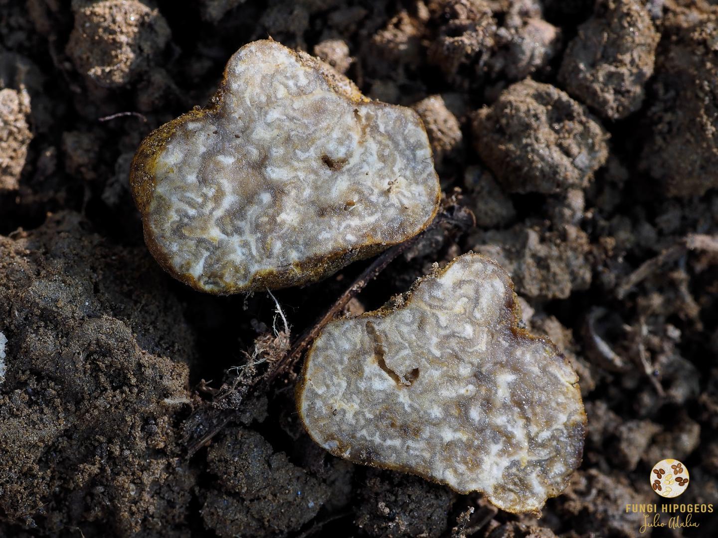 Imagen de portada 349