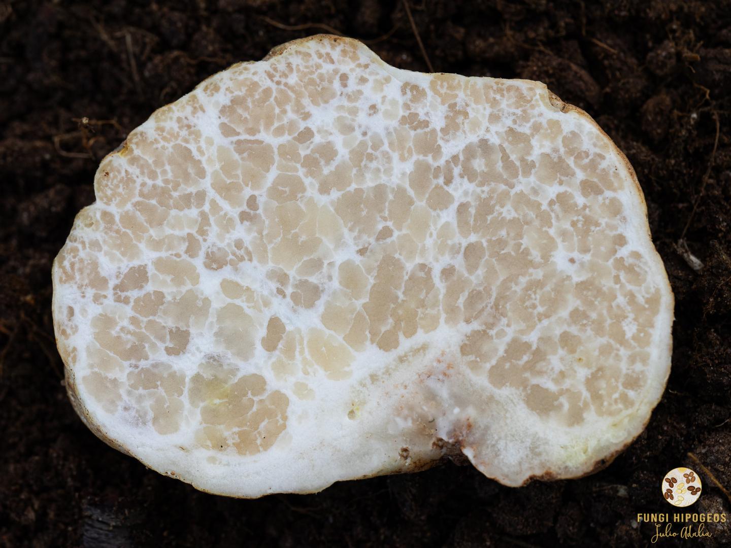 Imagen de portada 360