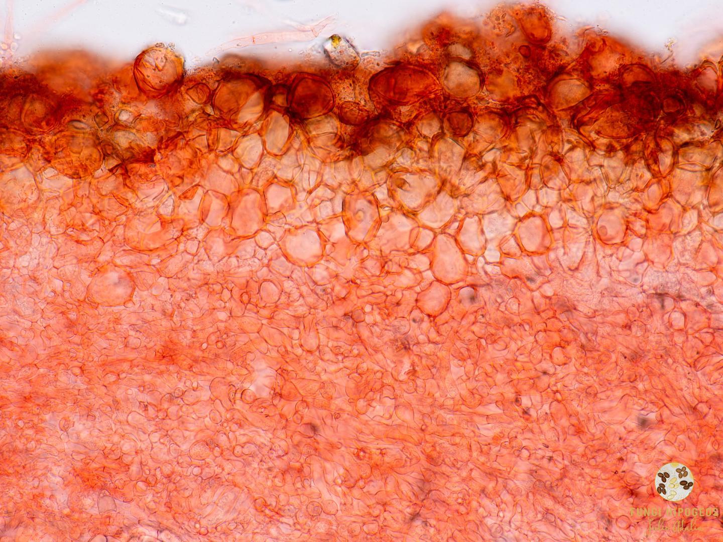 Imagen de portada 318