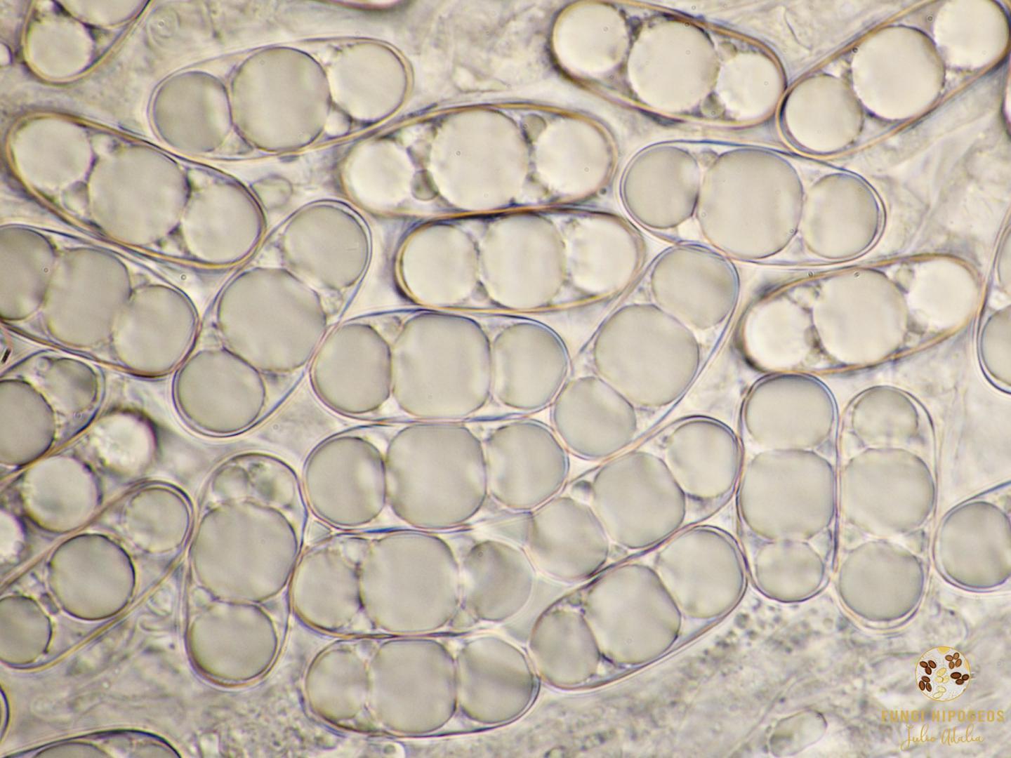 Imagen de portada 320