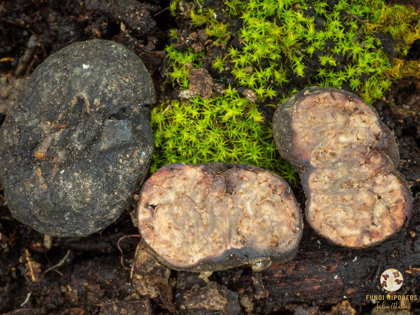 Imagen de portada 330