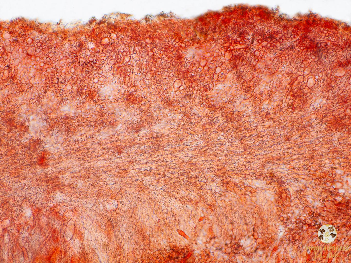 Imagen de portada 644