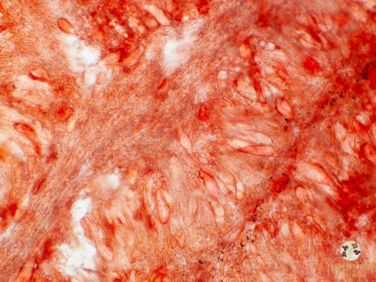 Imagen de portada 645