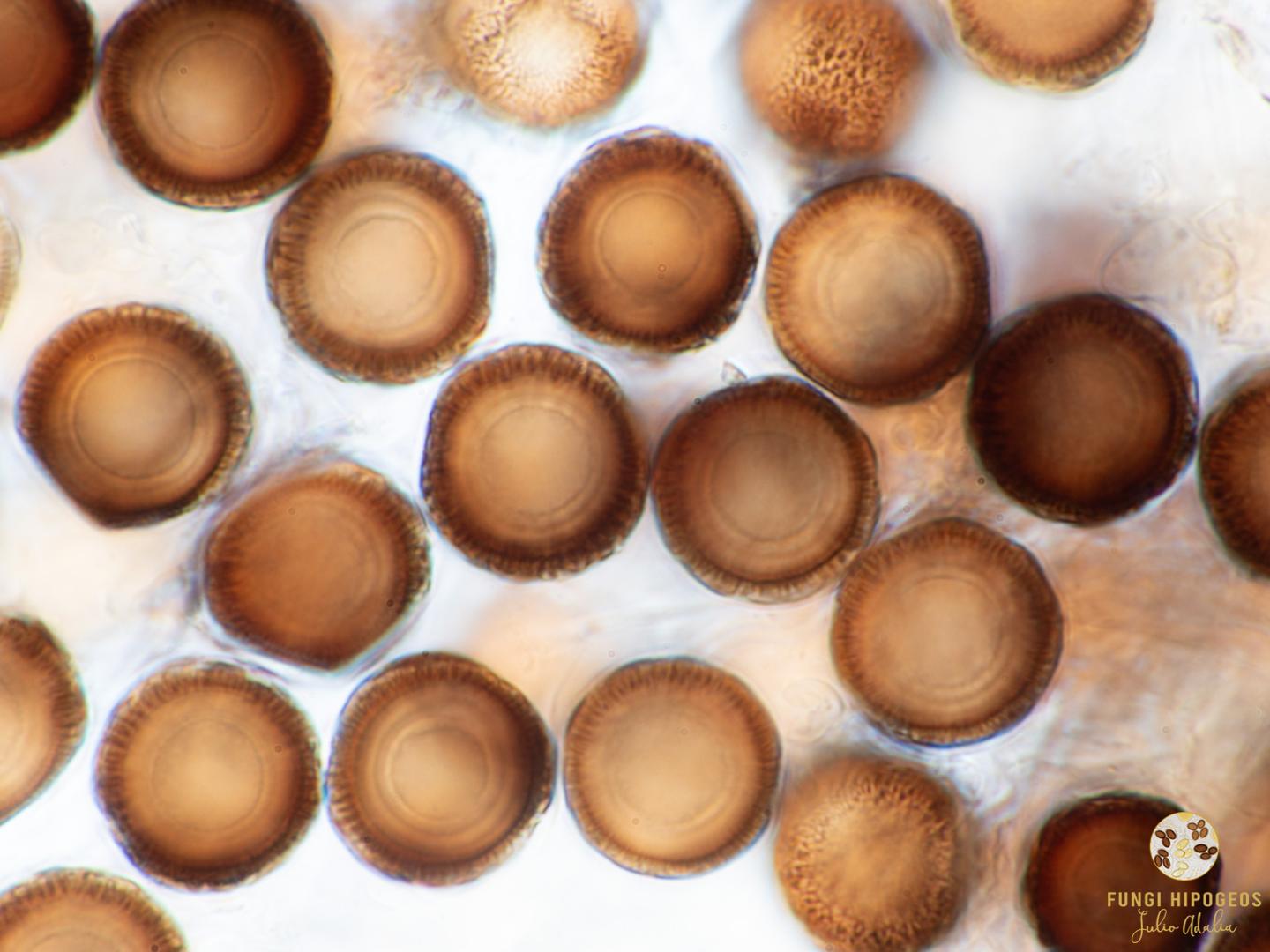 Imagen de portada 22