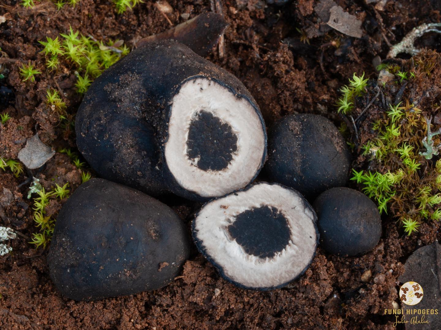 Imagen de portada 24