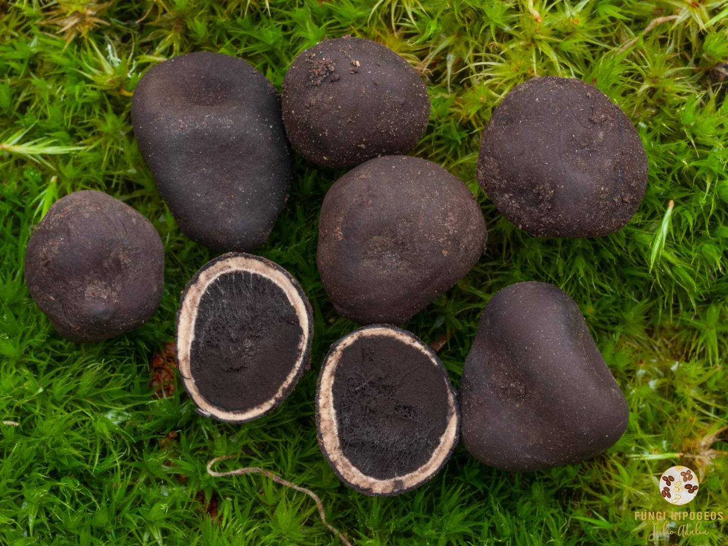 Imagen de portada 26