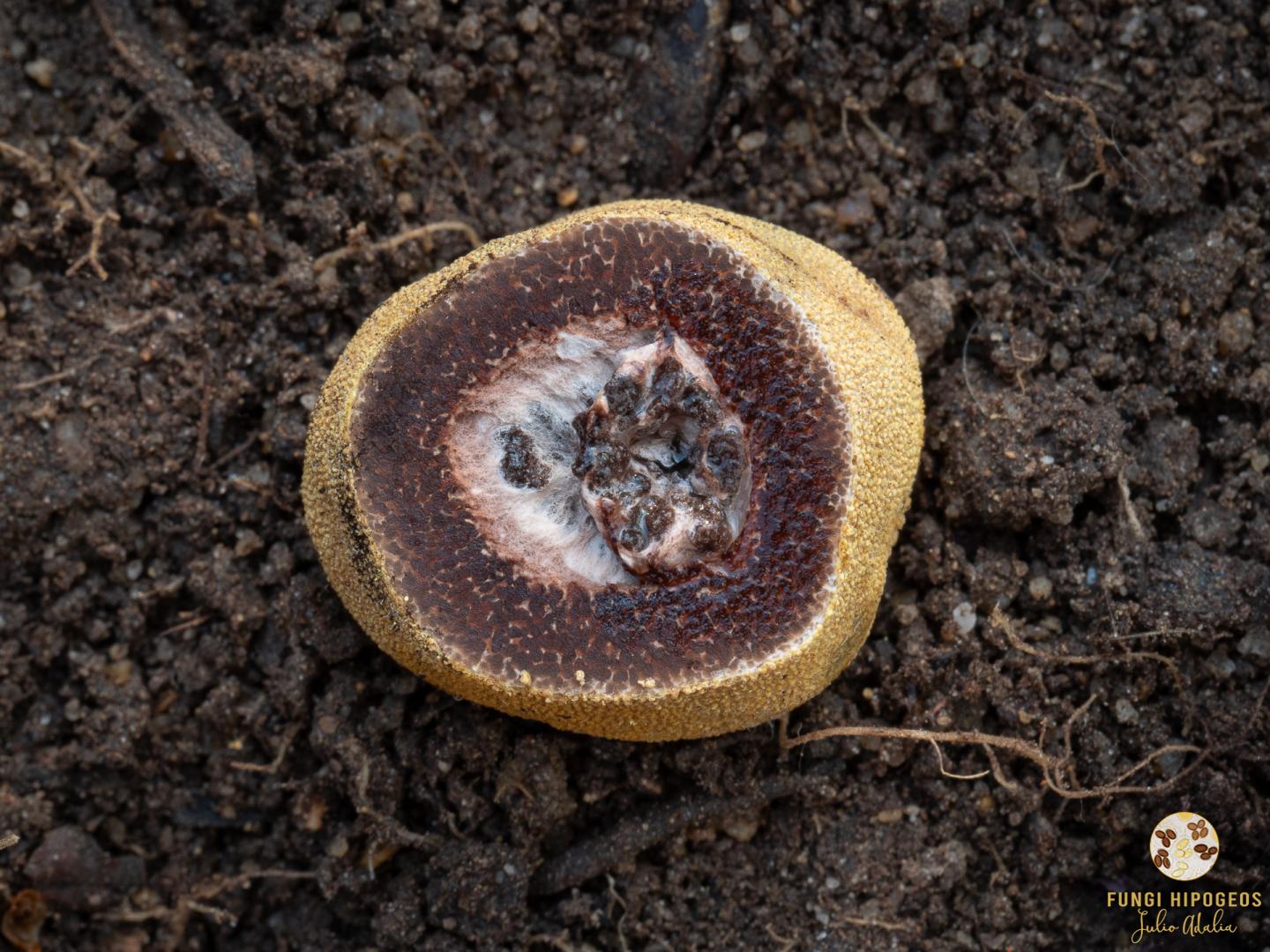 Imagen de portada 84