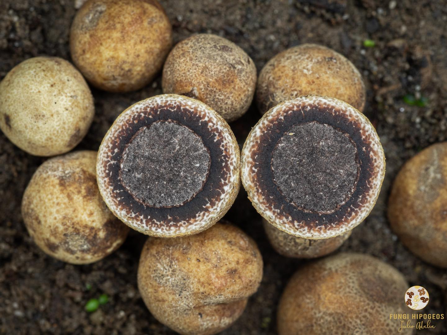 Imagen de portada 64