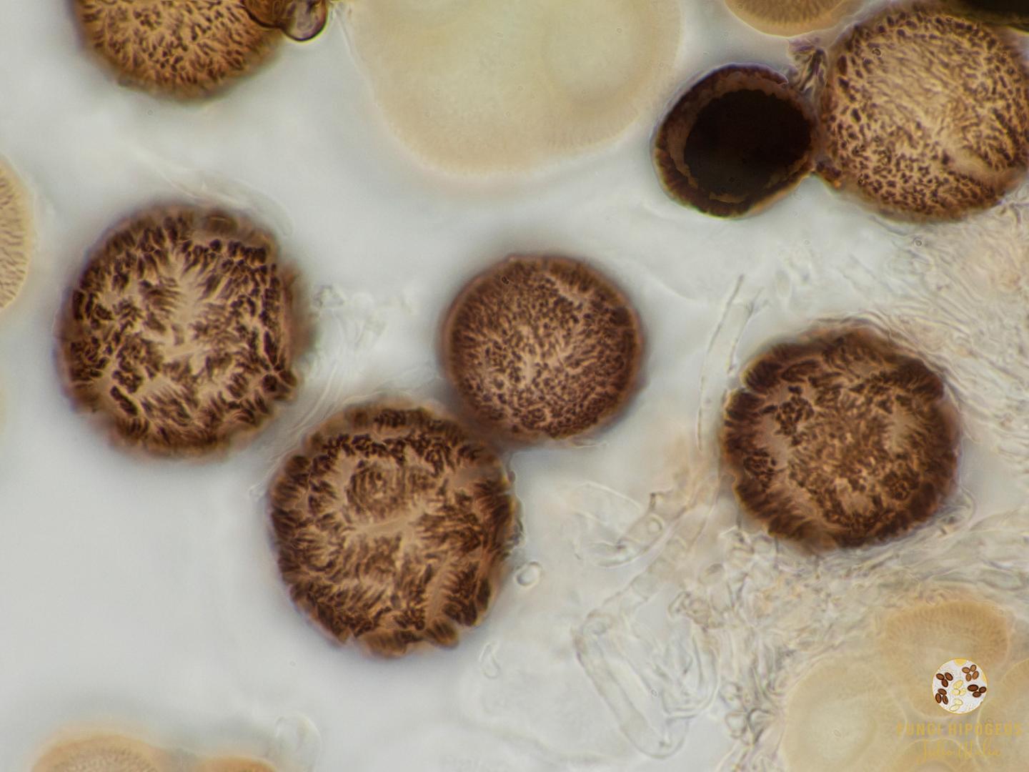 Imagen de portada 67