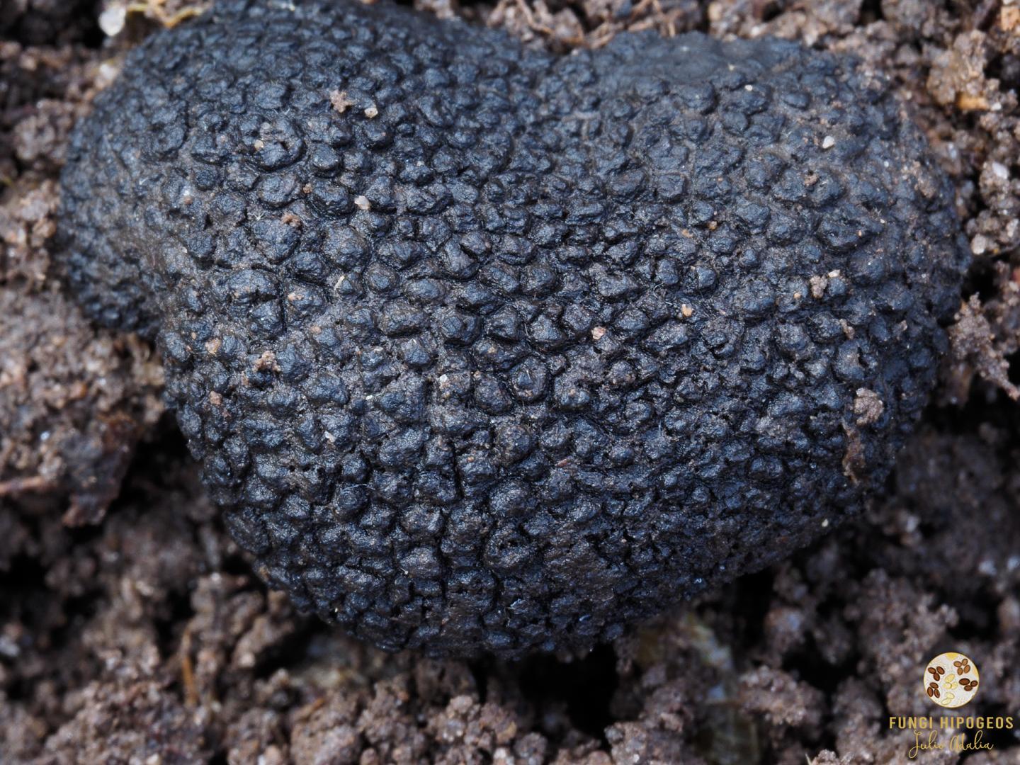 Imagen de portada 103