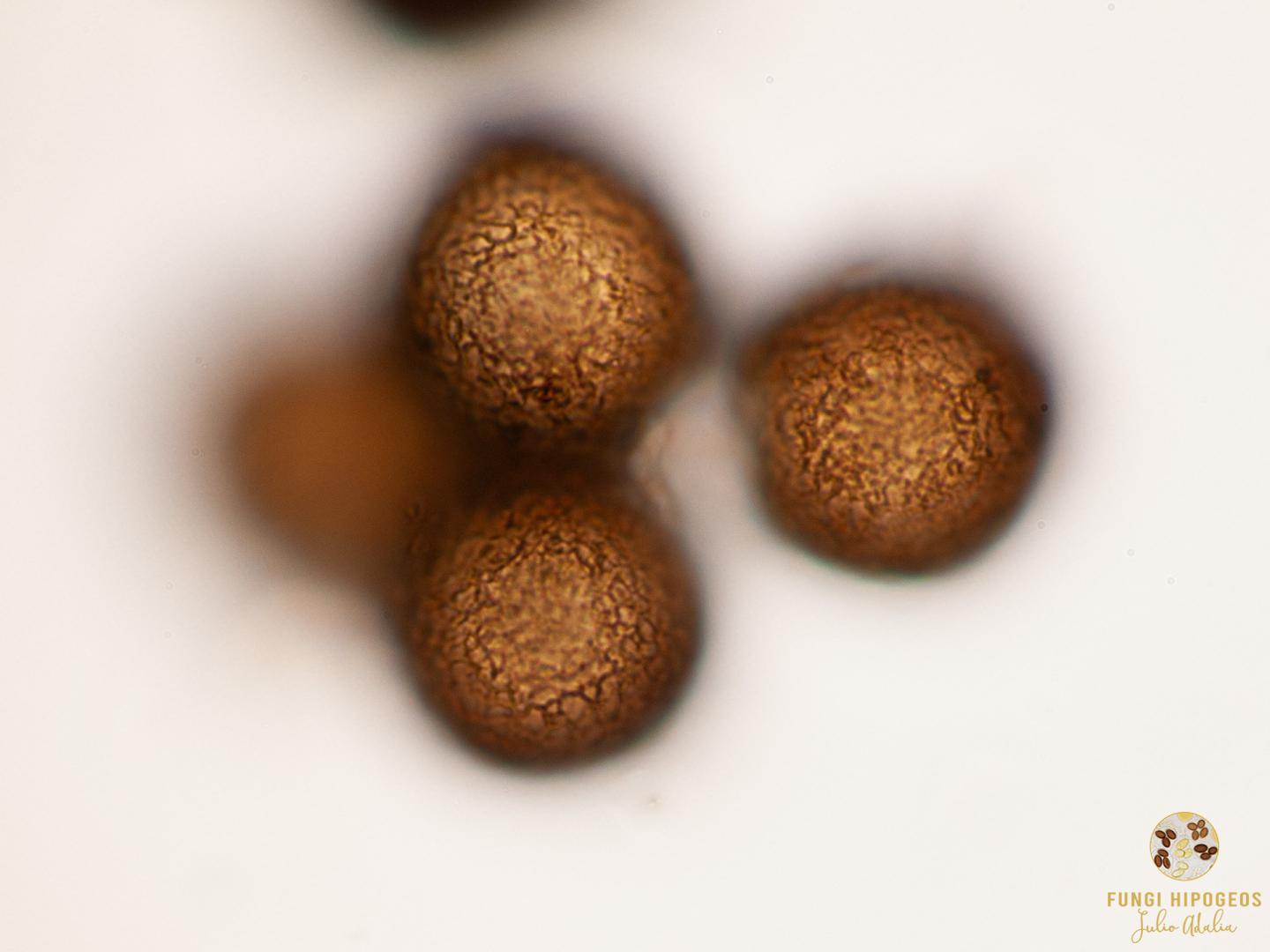 Imagen de portada 107