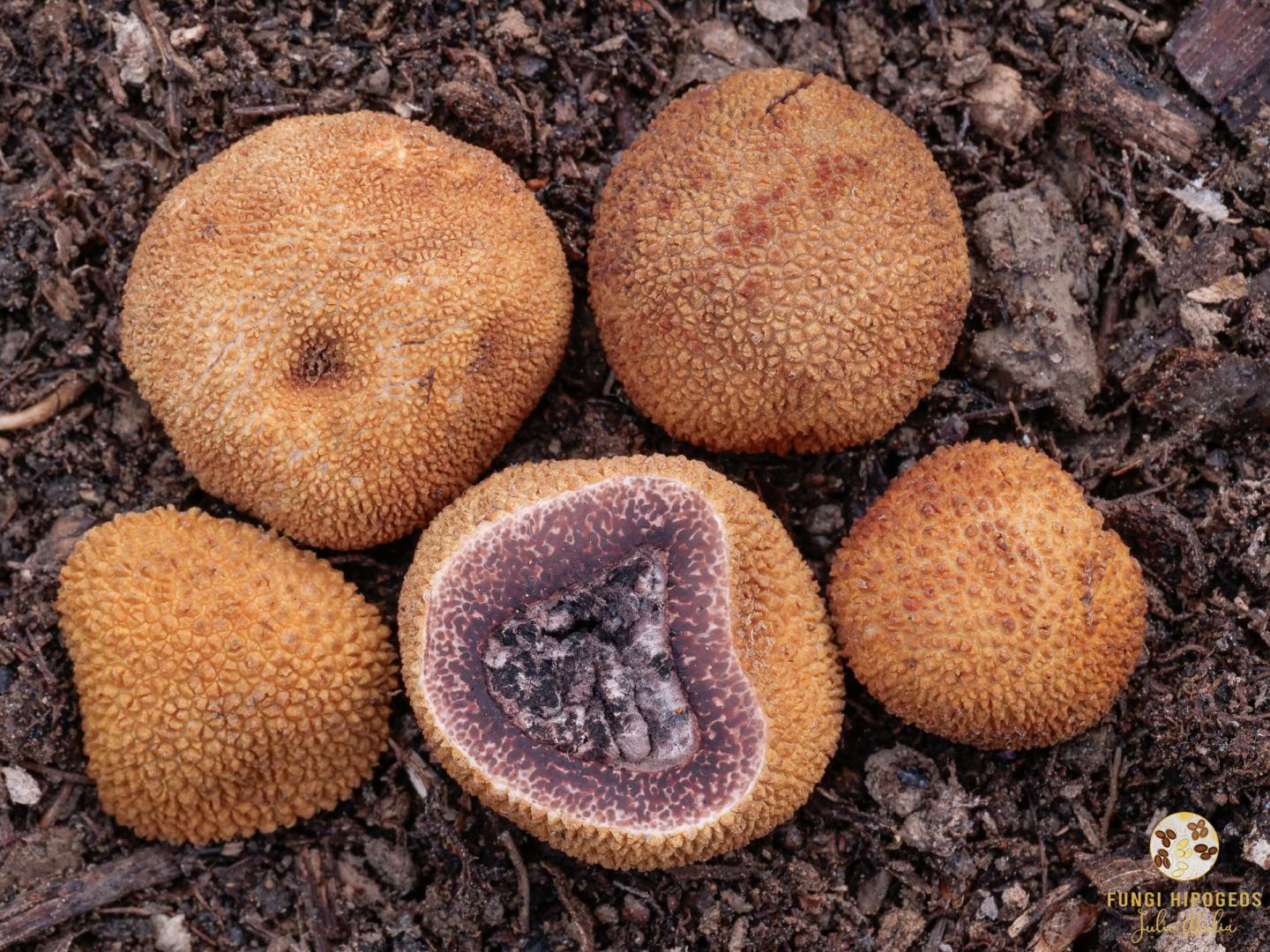 Imagen de portada 71