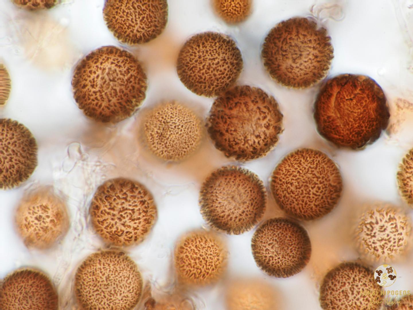 Imagen de portada 73