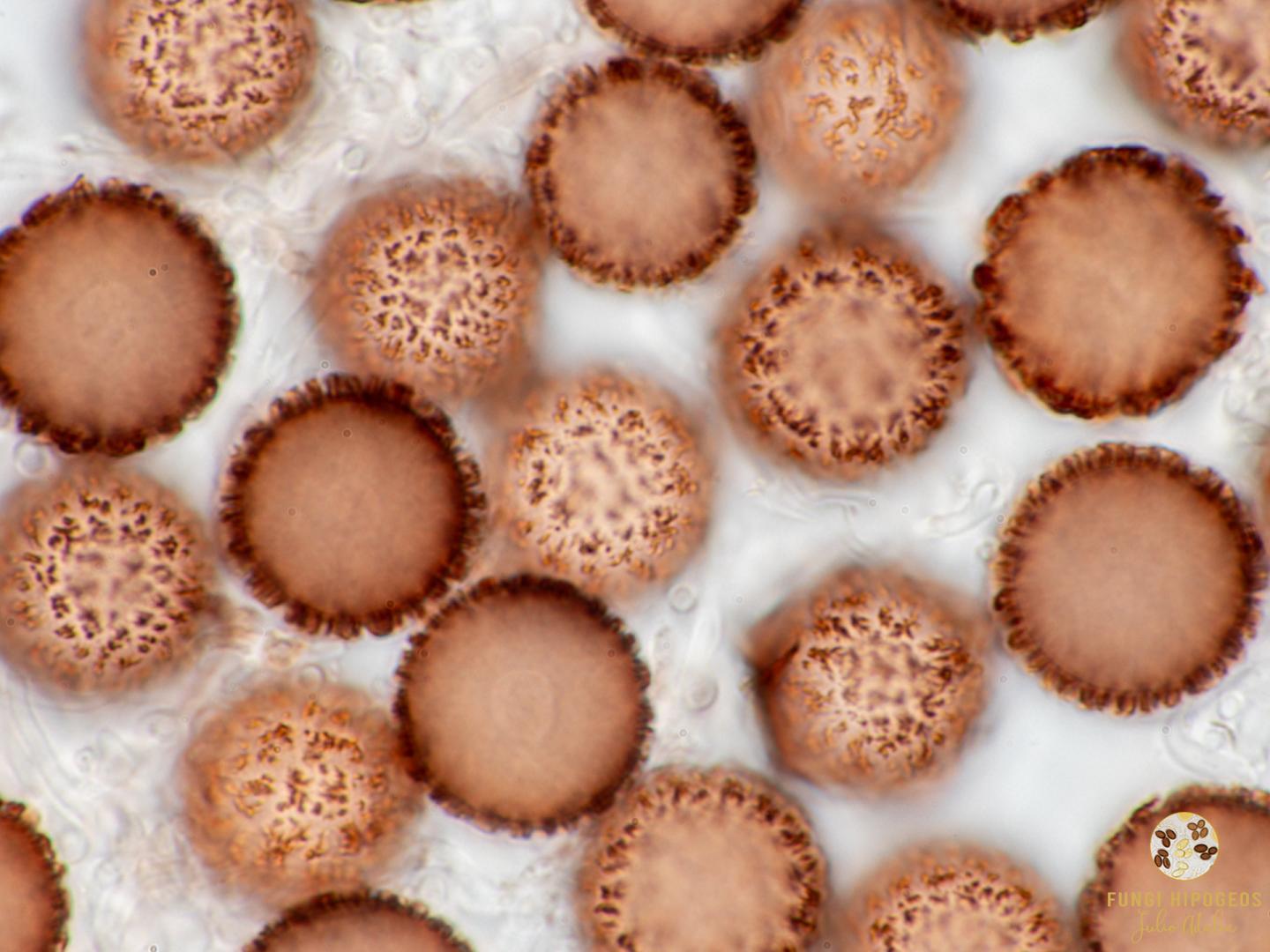 Imagen de portada 74