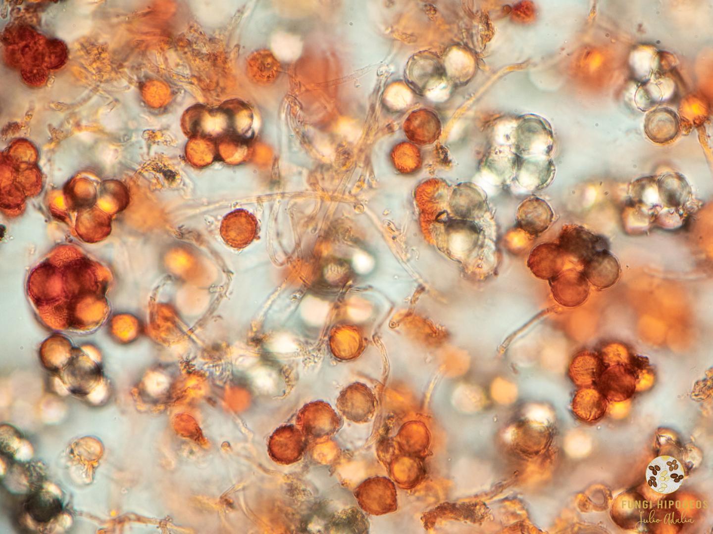 Imagen de portada 604