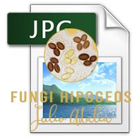 Imagen de portada 598