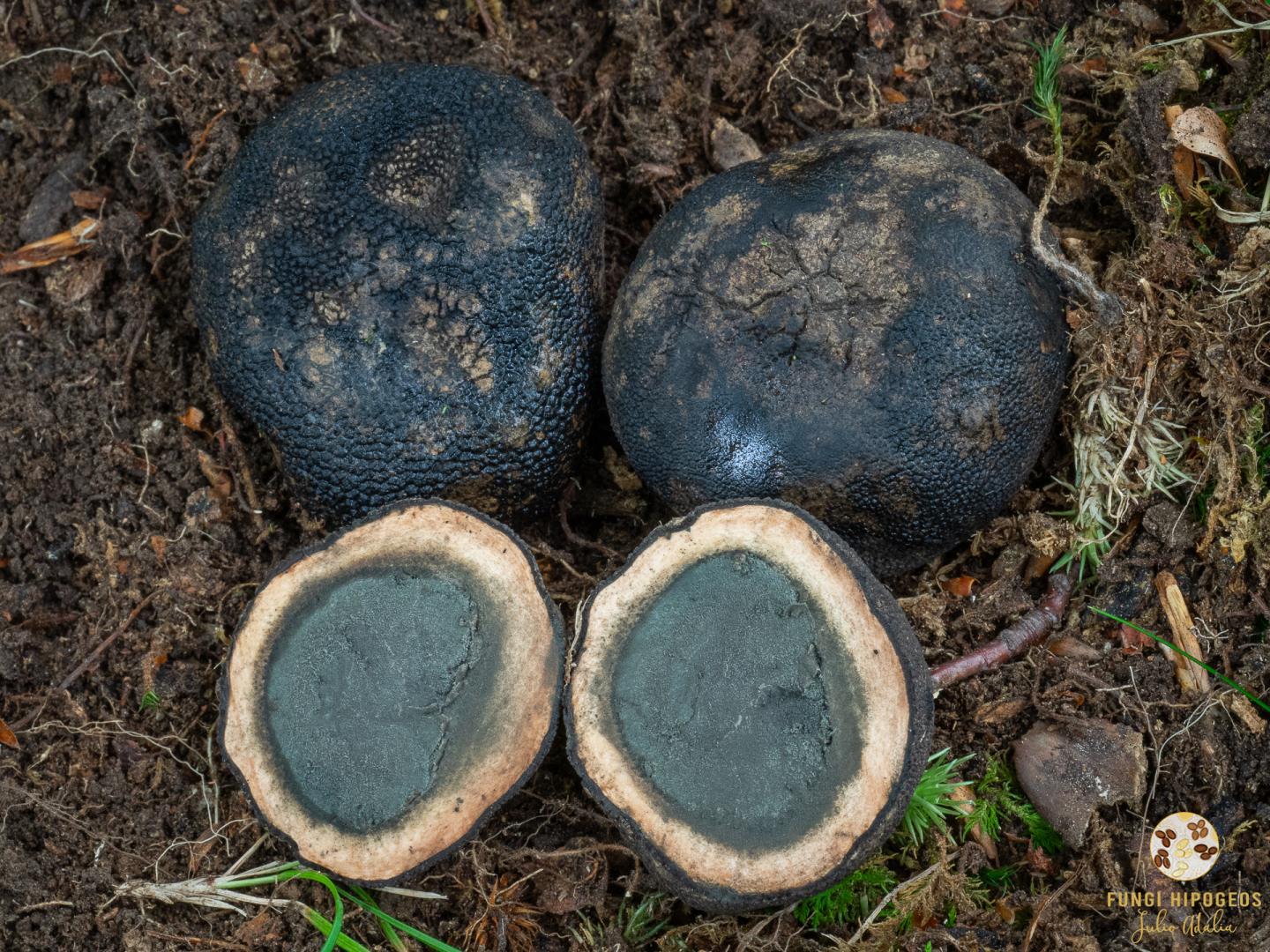 Imagen de portada 187