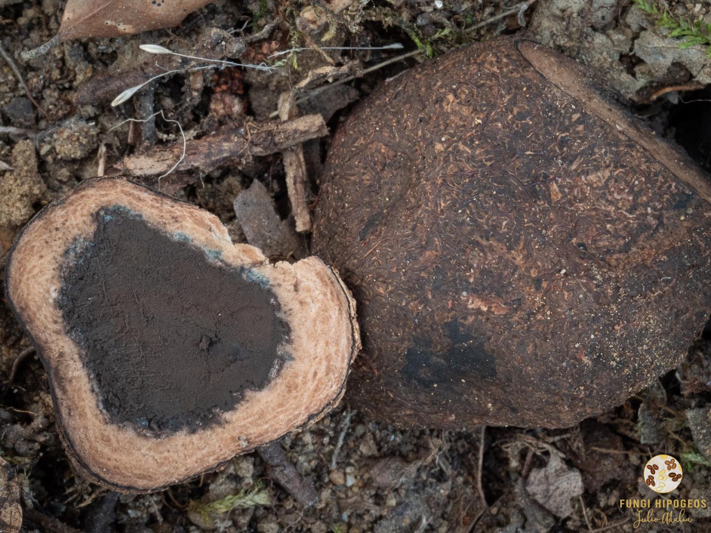 Imagen de portada 198