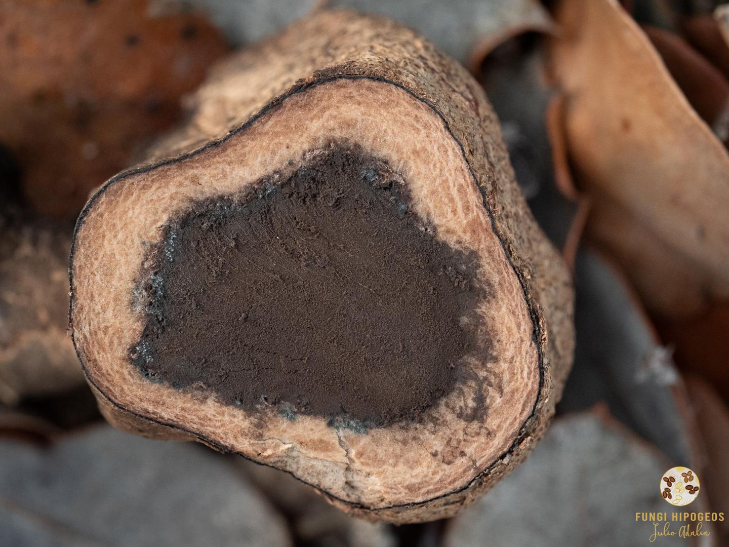 Imagen de portada 199