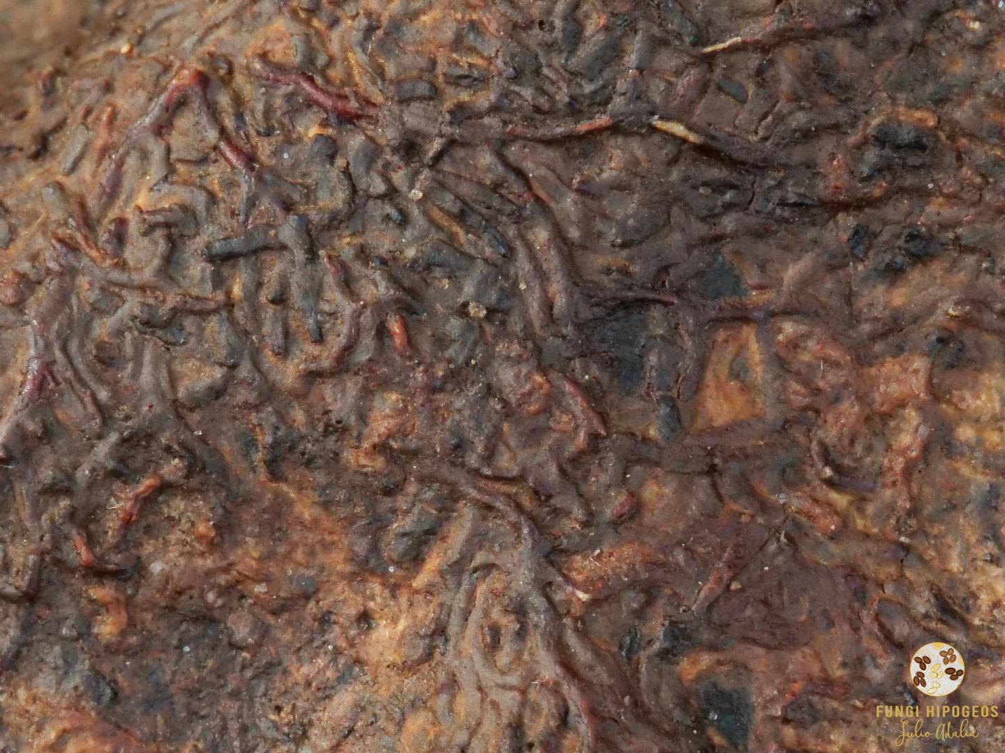 Imagen de portada 200