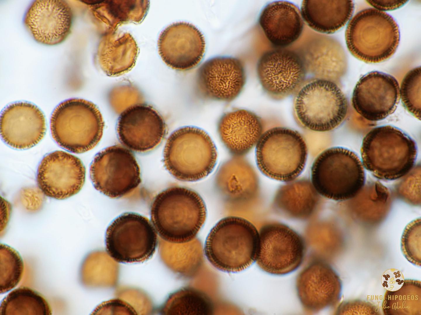 Imagen de portada 201