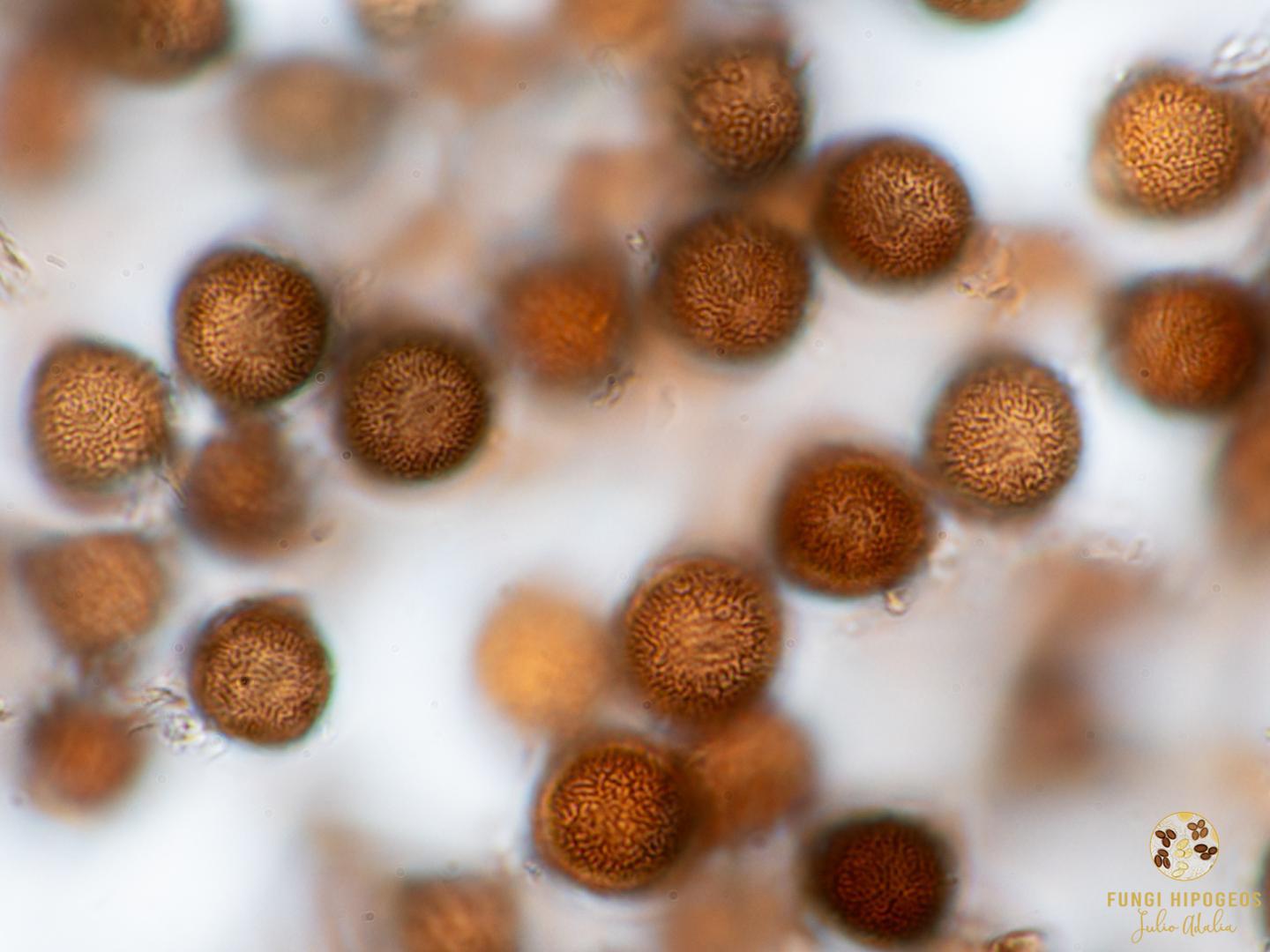 Imagen de portada 202