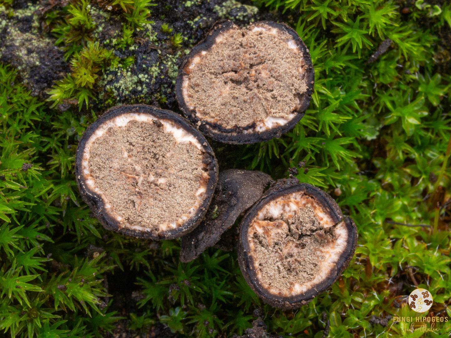 Imagen de portada 213