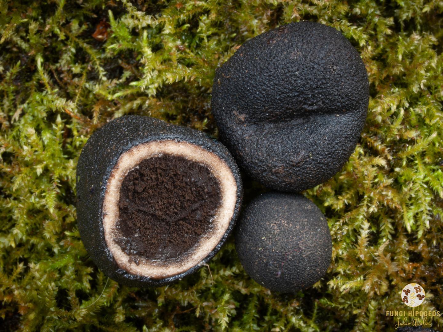 Imagen de portada 220