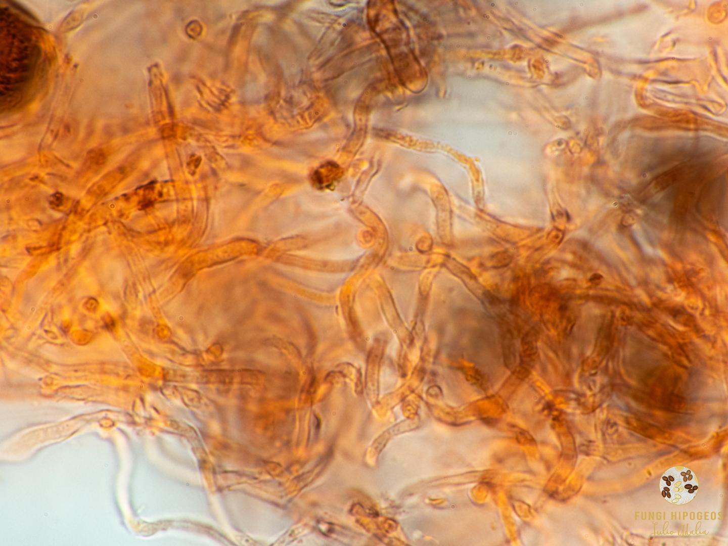 Imagen de portada 224