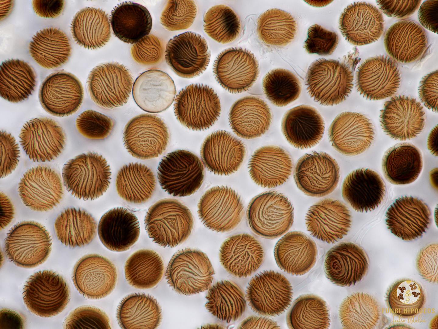 Imagen de portada 226