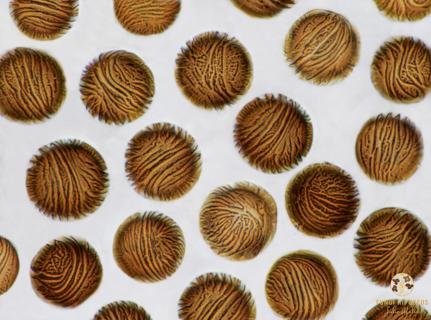 Imagen de portada 227