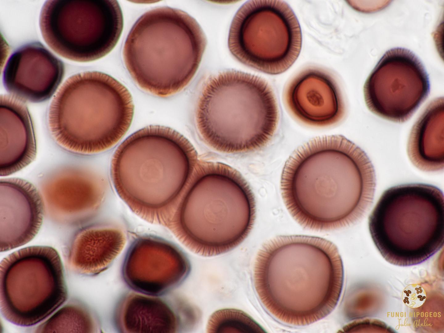 Imagen de portada 1536