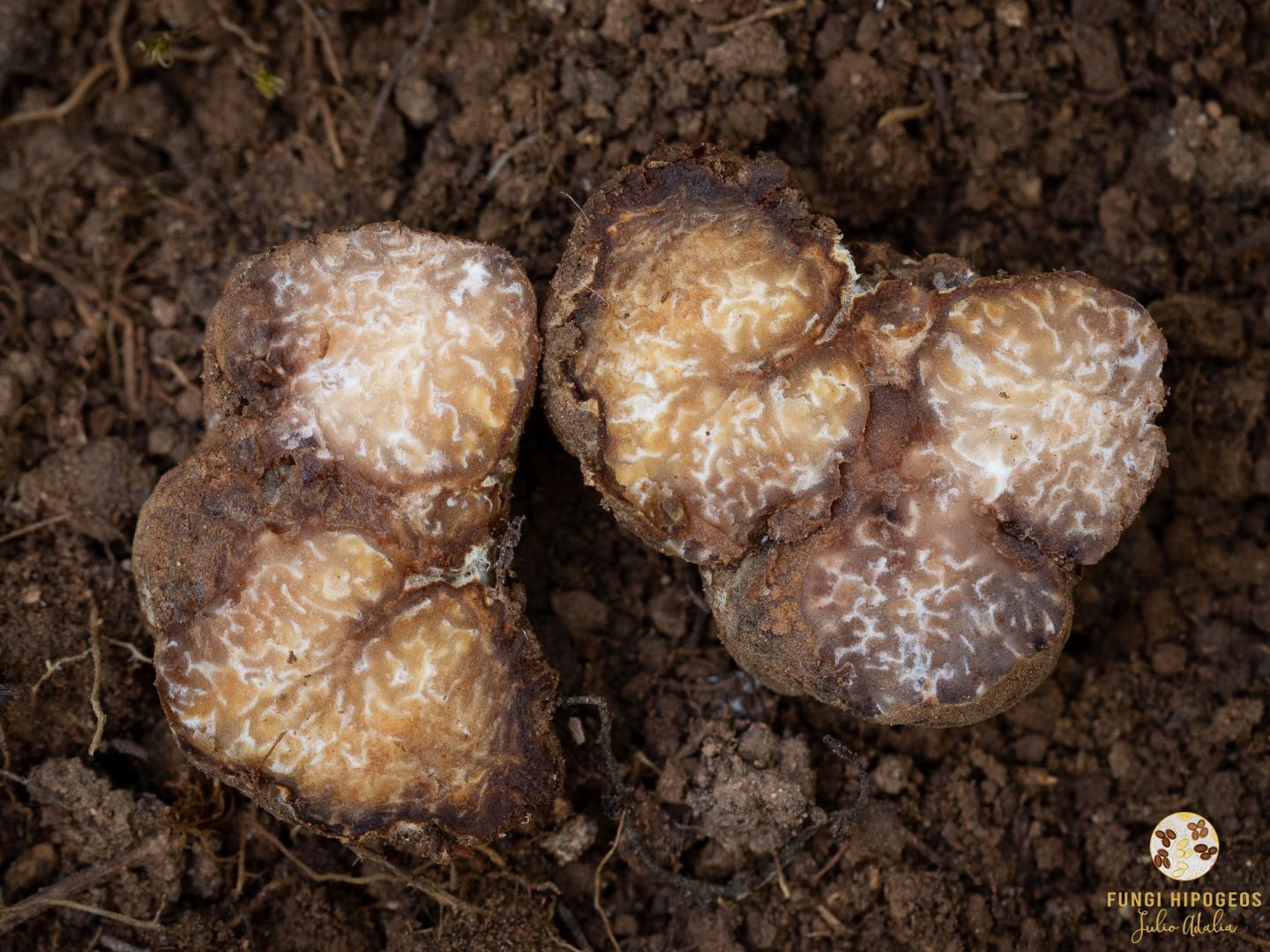 Imagen de portada 294