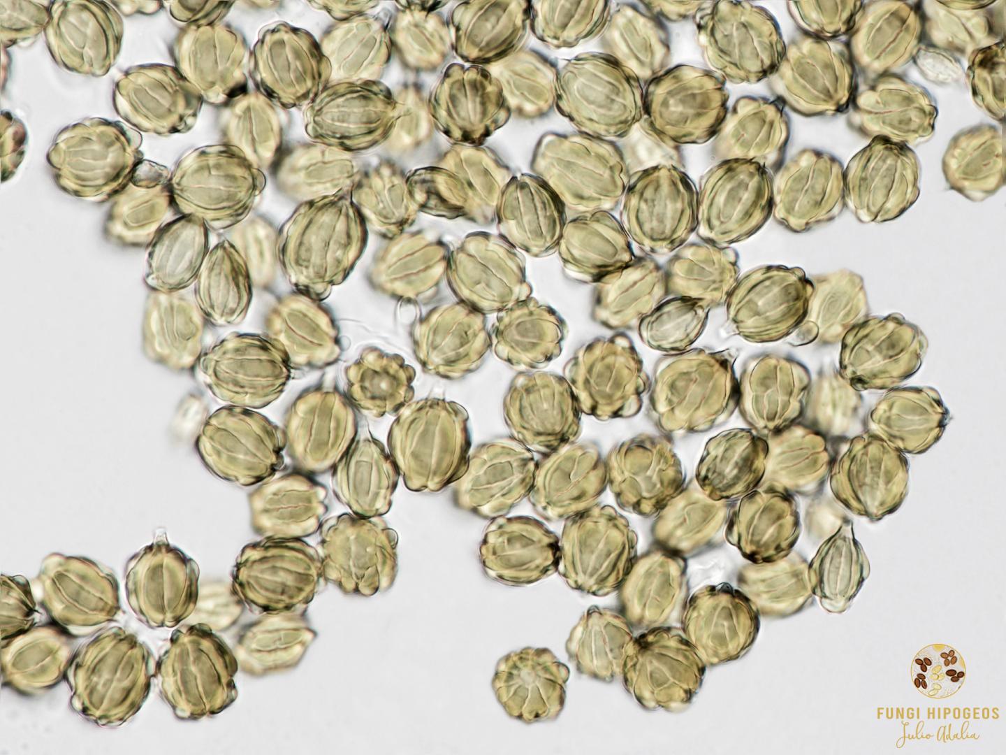 Imagen de portada 1040