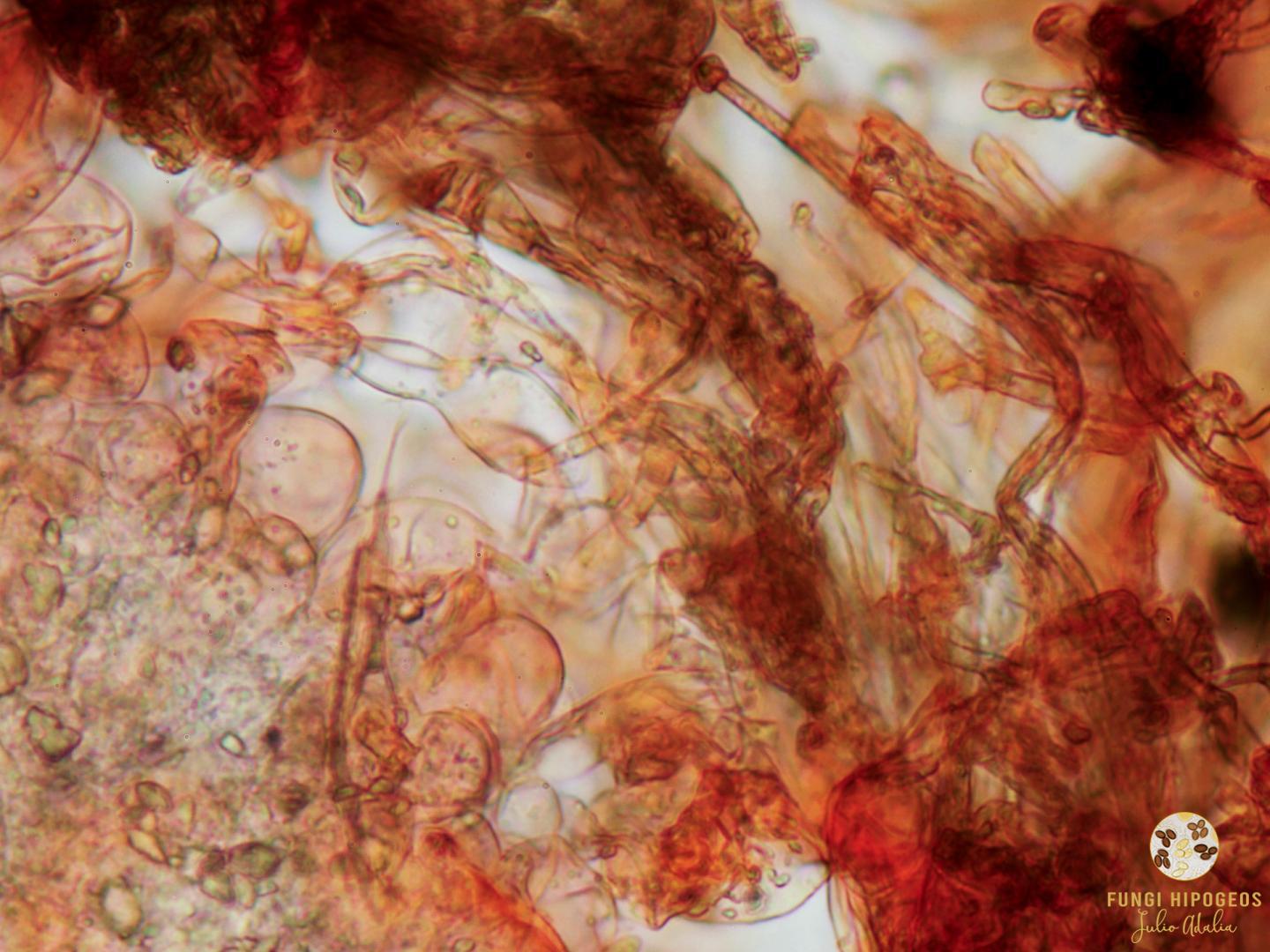 Imagen de portada 1047