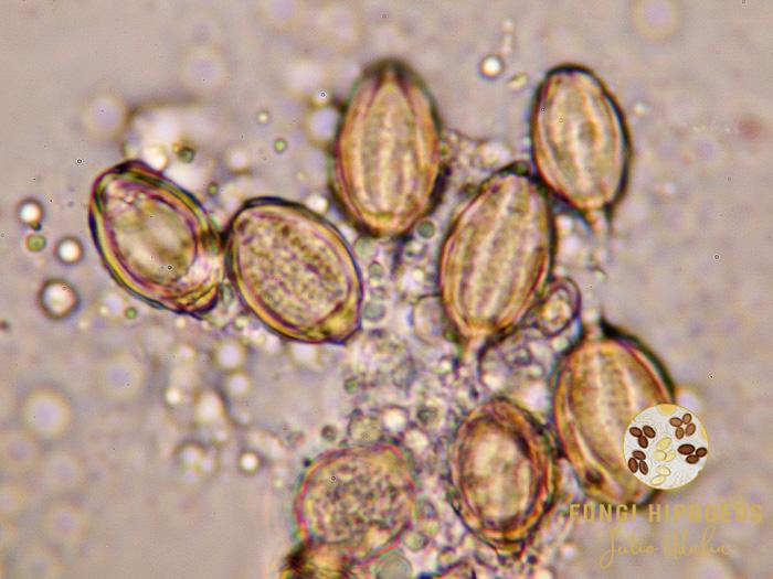 Imagen de portada 1048