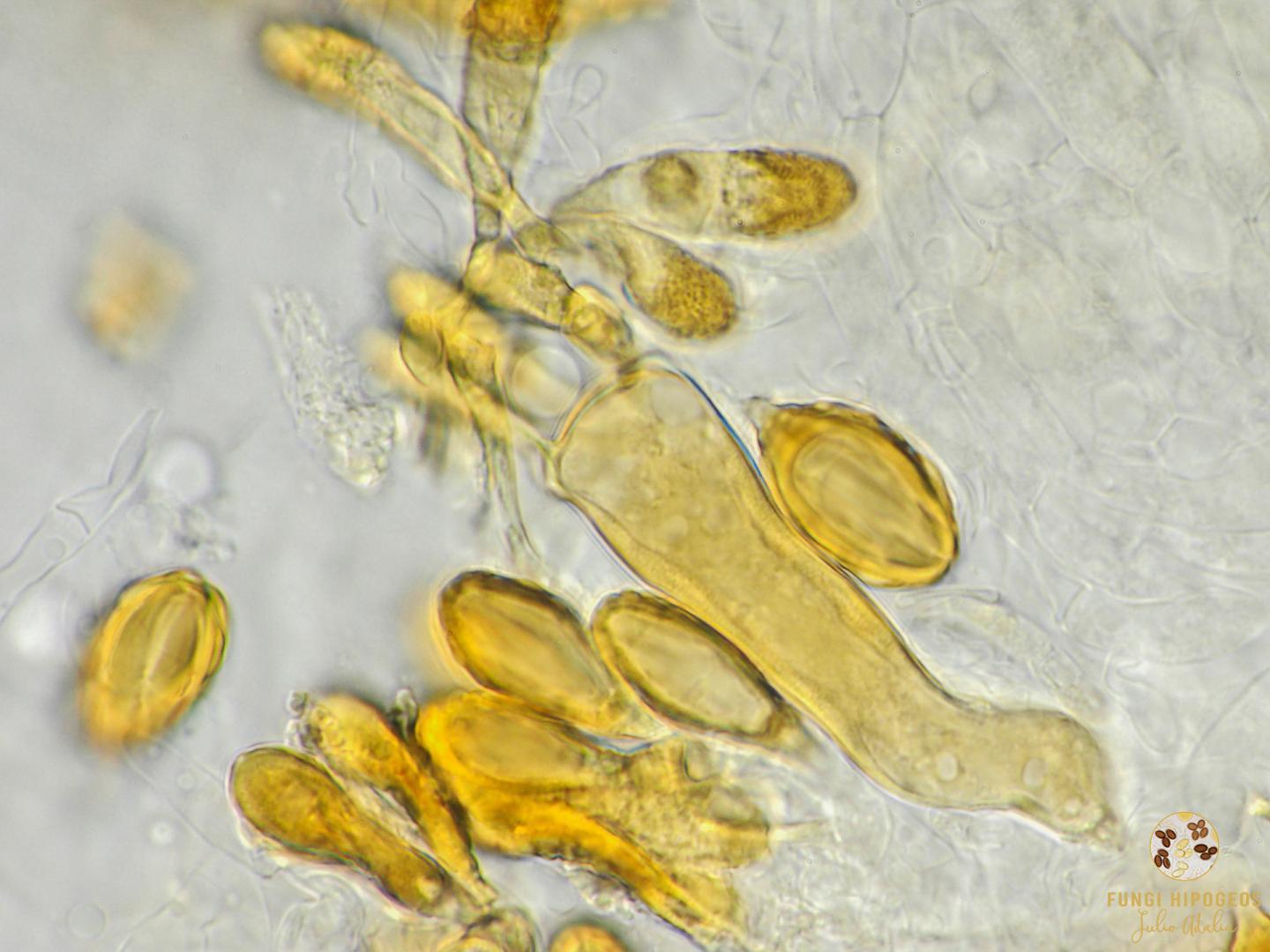 Imagen de portada 1054