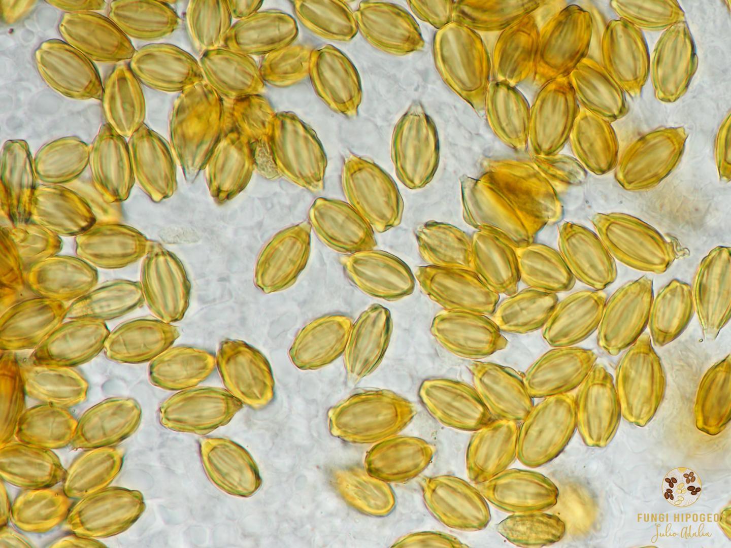 Imagen de portada 1055