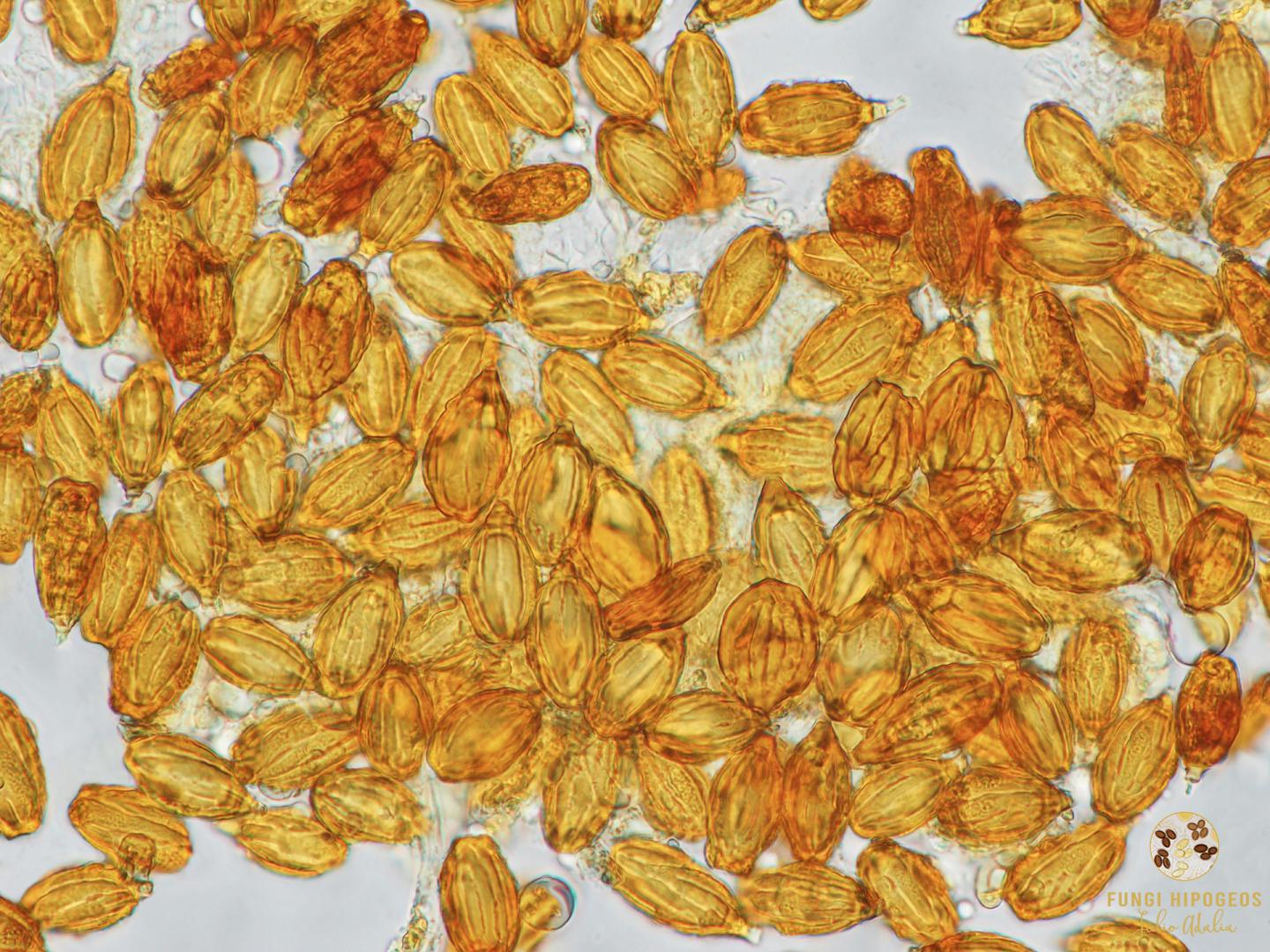 Imagen de portada 1056