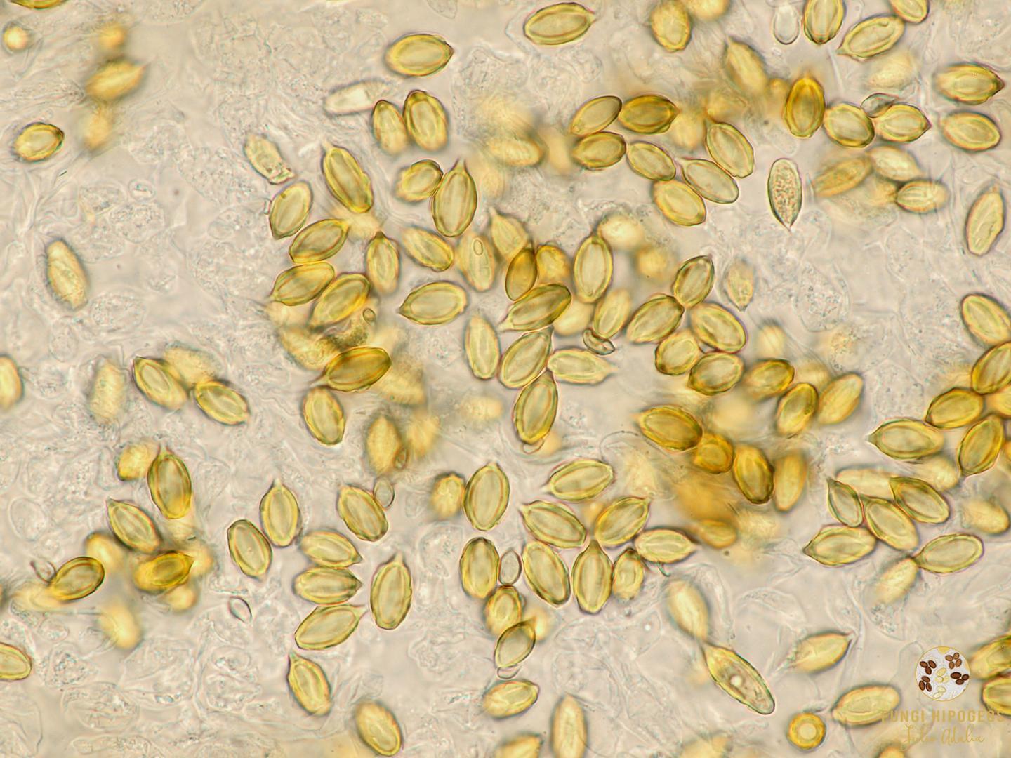 Imagen de portada 1069