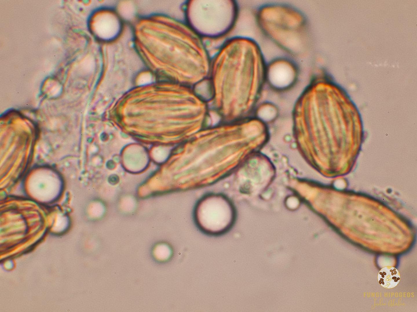 Imagen de portada 1076