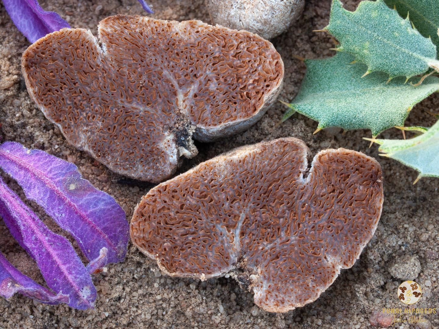 Imagen de portada 1080