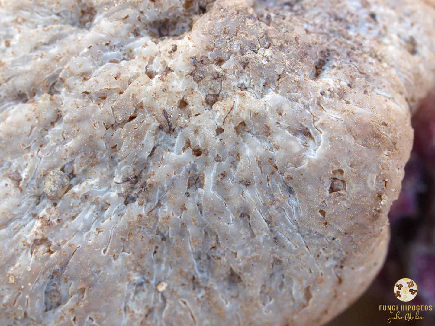 Imagen de portada 1083