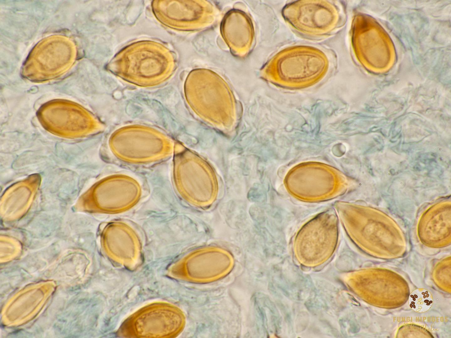 Imagen de portada 1086