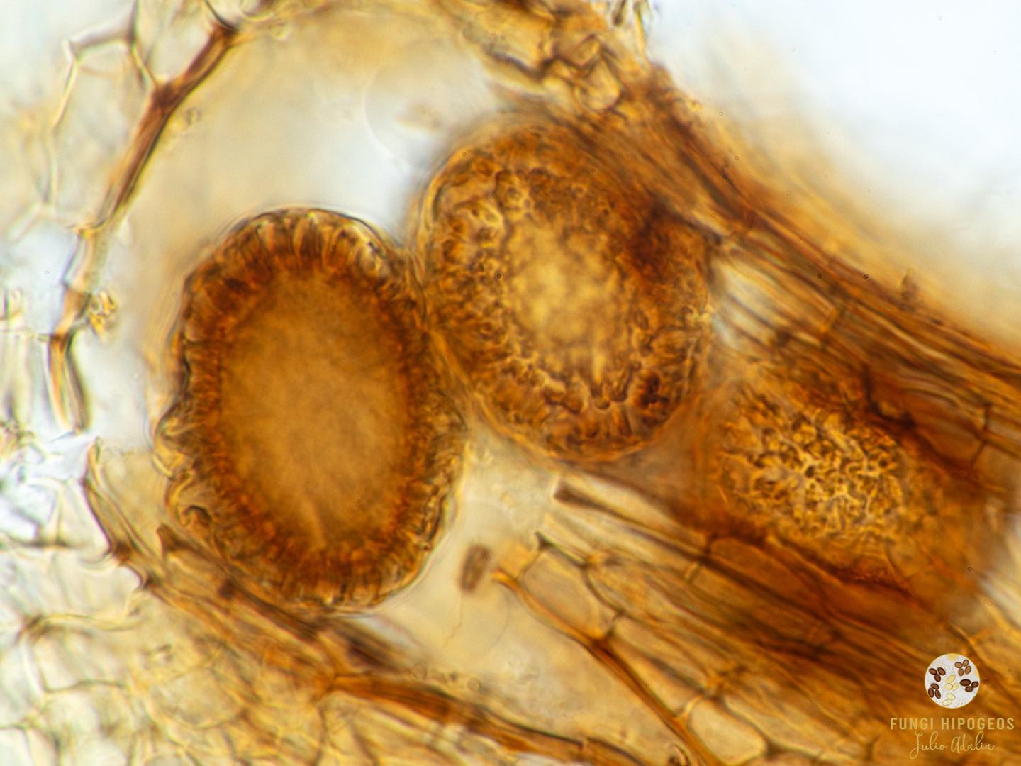 Imagen de portada 400