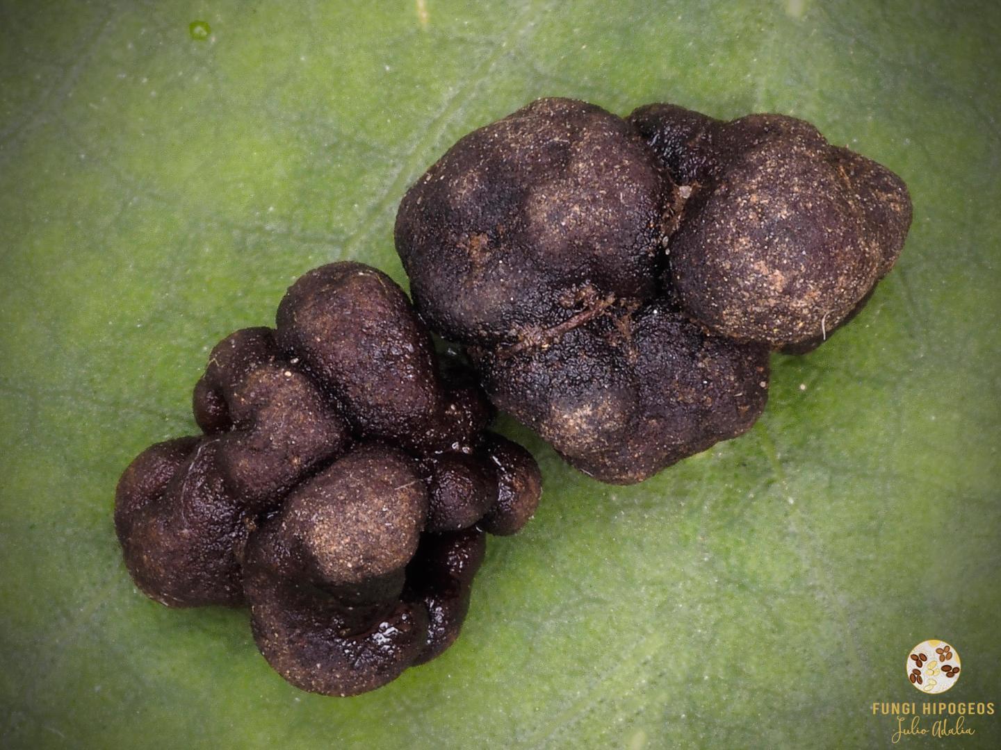 Imagen de portada 403