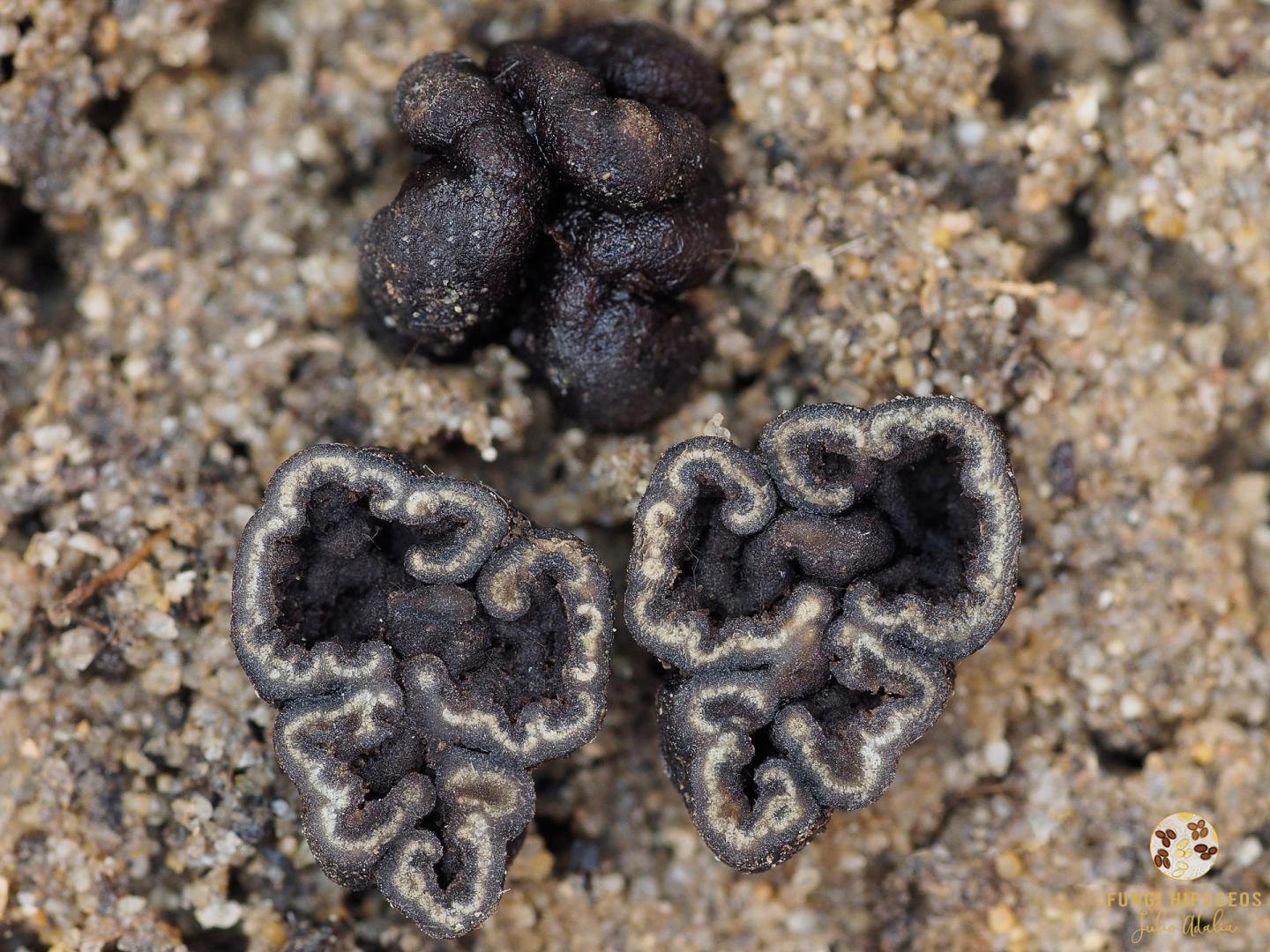 Imagen de portada 404