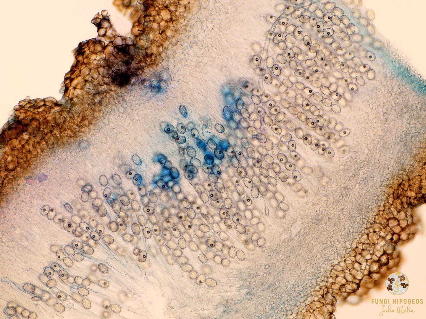 Imagen de portada 413